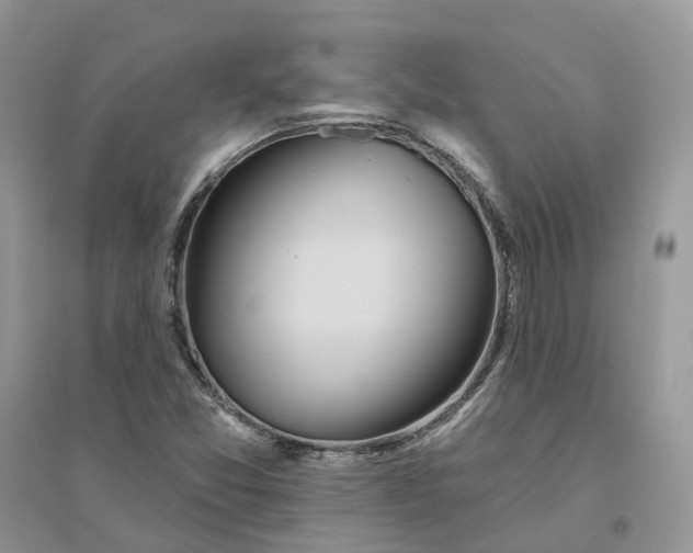 X0000096171357200802011309