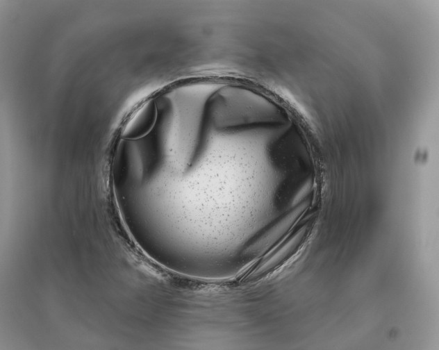 X0000096171358200802011309