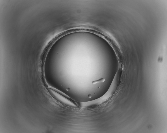 X0000096171360200802011309