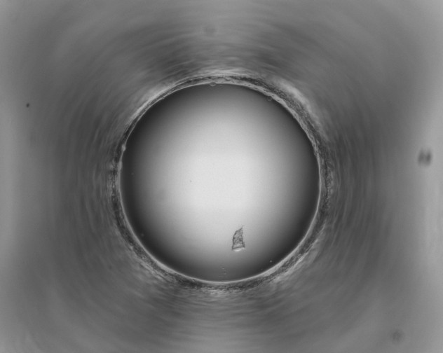 X0000096171361200802011309