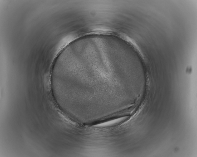 X0000096171362200802011309