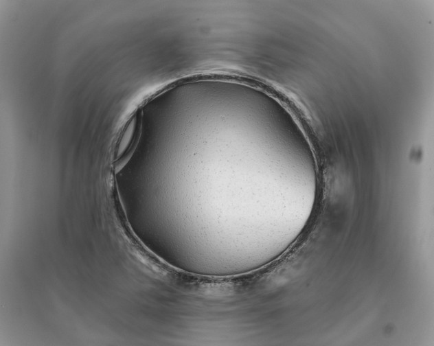 X0000096171363200802011309