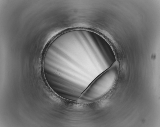 X0000096171364200802011309