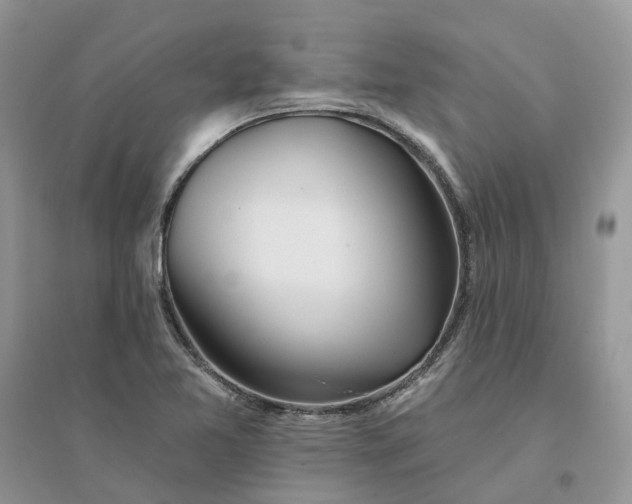 X0000096171365200802011309