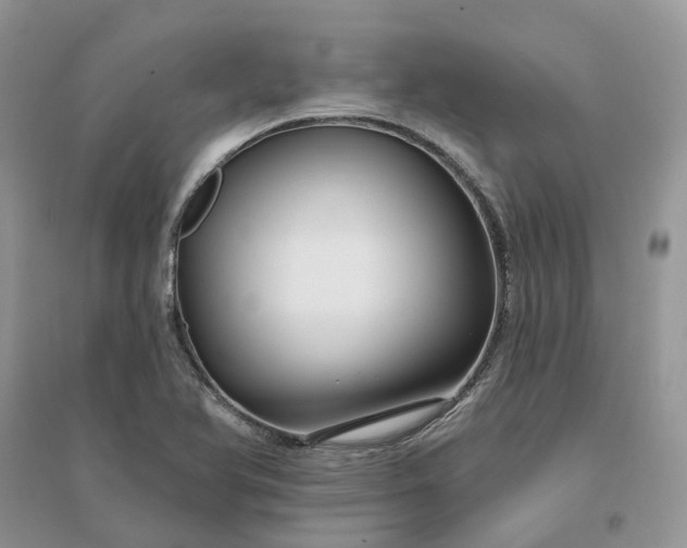 X0000096171366200802011309