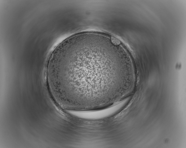 X0000096171367200802011309