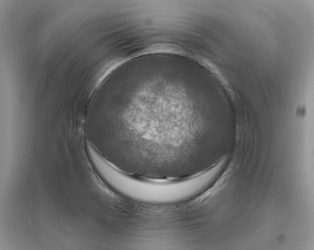 X0000096171369200802011309