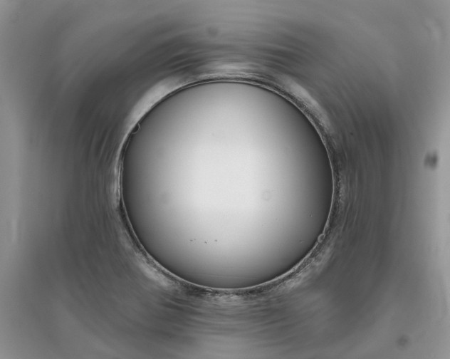 X0000096171370200802011308