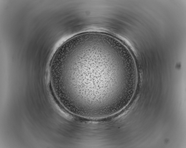 X0000096171371200802011308