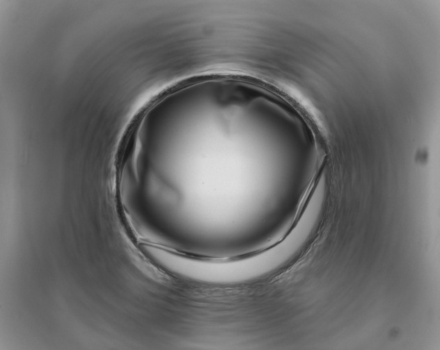 X0000096171372200802011308