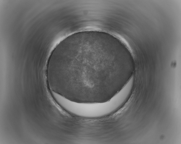 X0000096171373200802011308