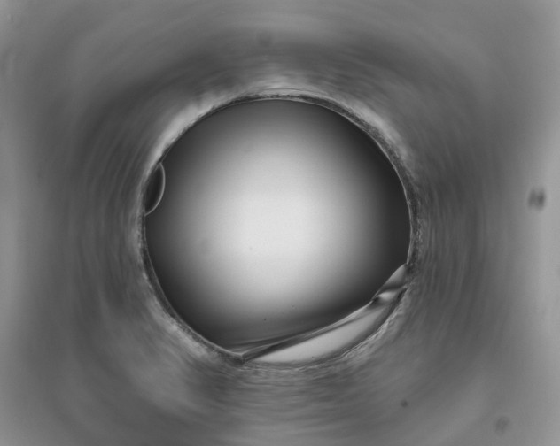 X0000096171374200802011308