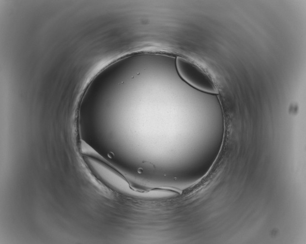 X0000096171375200802011308