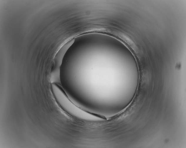 X0000096171377200802011308