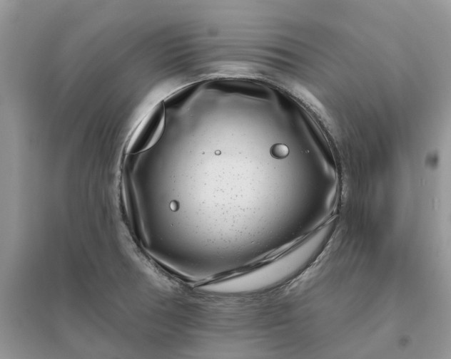 X0000096171378200802011308