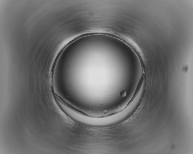 X0000096171380200802011308