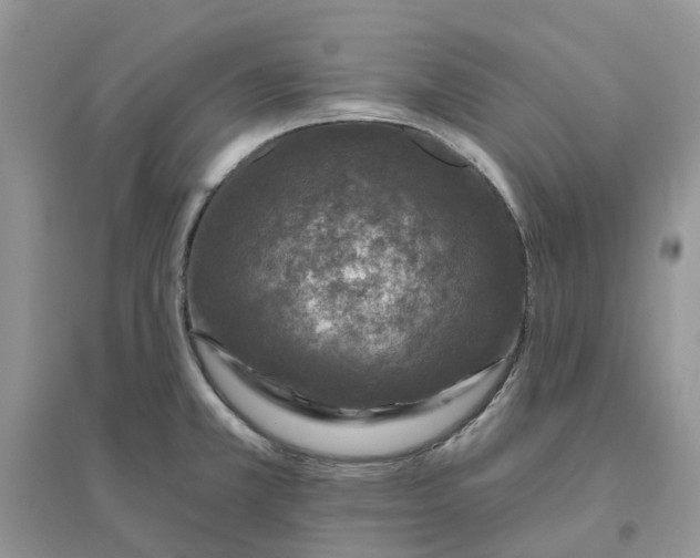 X0000096171381200802011308