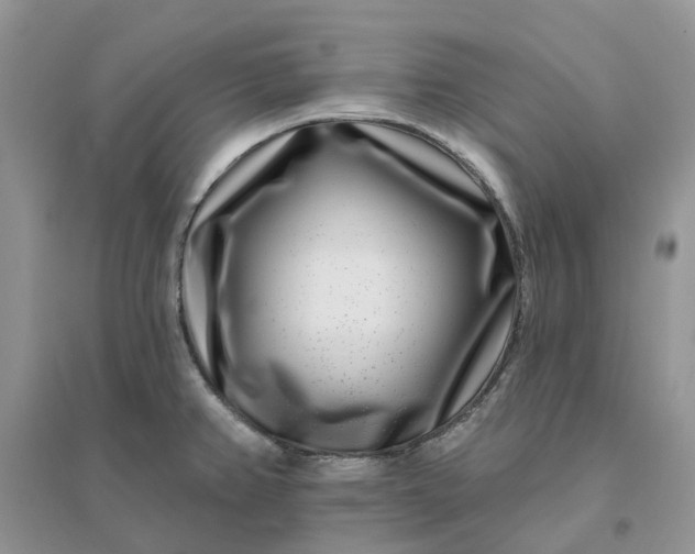 X0000096171382200802011308