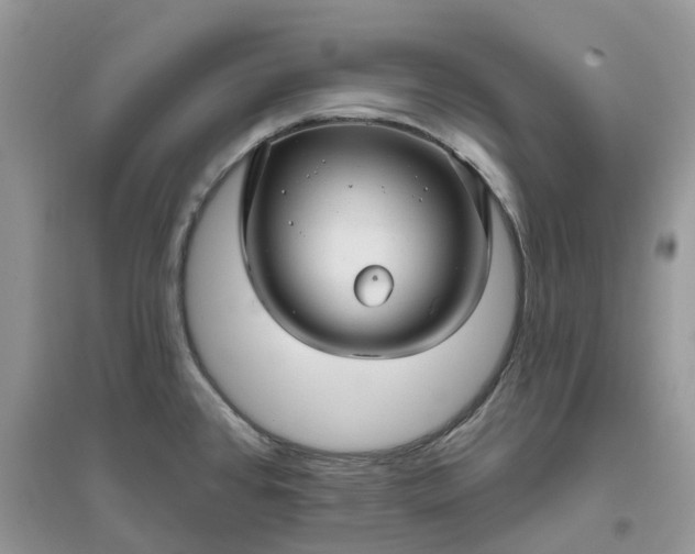 X0000096171384200802011308