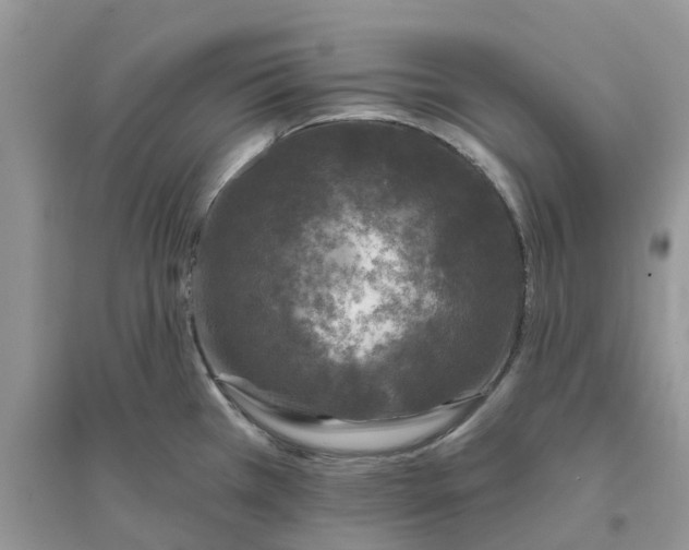 X0000096171385200802011308