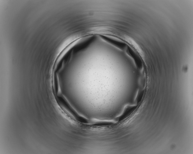 X0000096171386200802011308