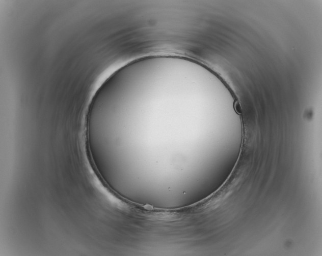 X0000096171387200802011308