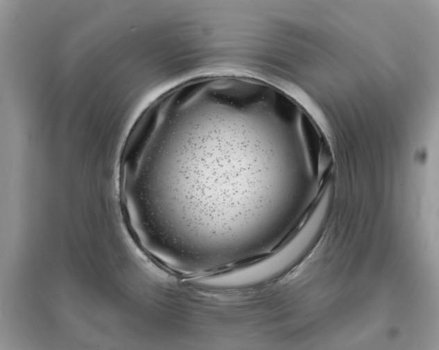 X0000096171388200802011308