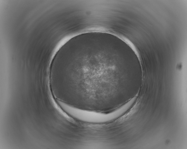 X0000096171389200802011308