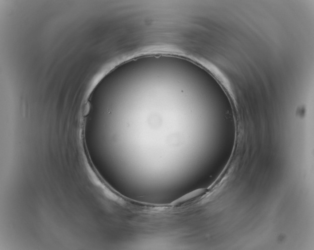 X0000096171390200802011308