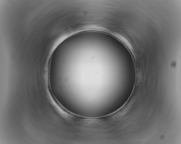 X0000096171391200802011308