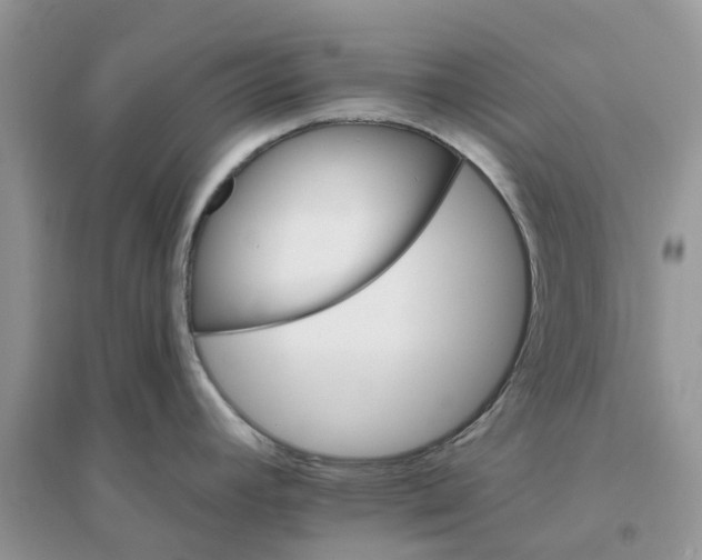 X0000096171392200802011308