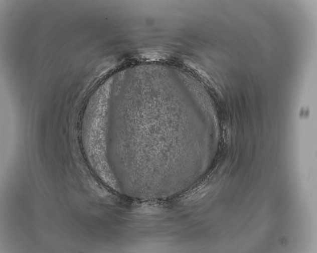 X0000096171393200802011308