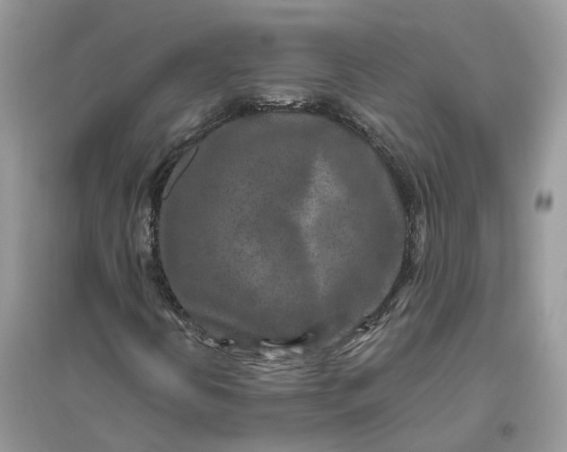 X0000096171394200802011308