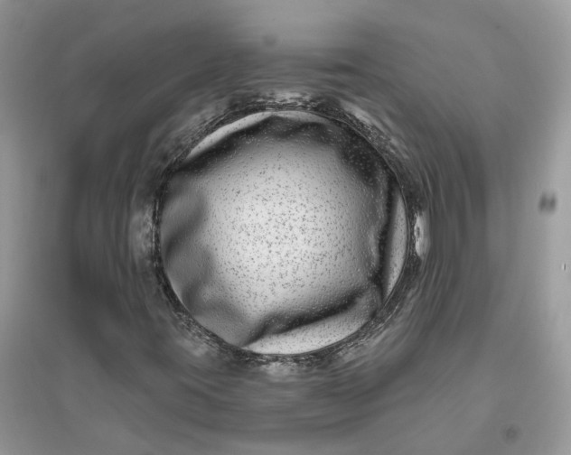 X0000096171395200802011308