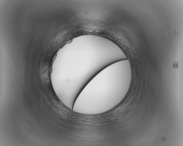 X0000096171396200802011308