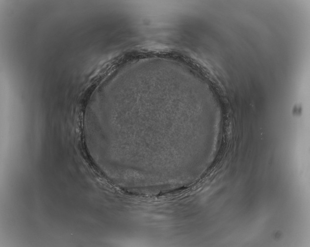 X0000096171397200802011308