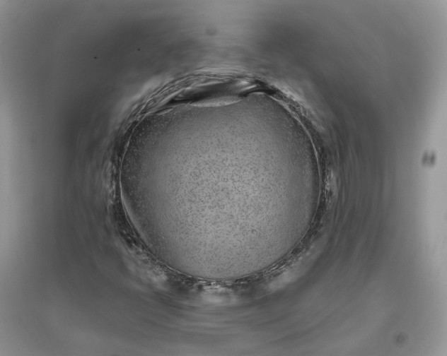 X0000096171398200802011308