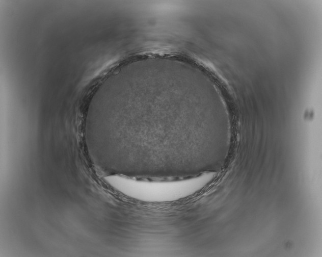 X0000096171399200802011308