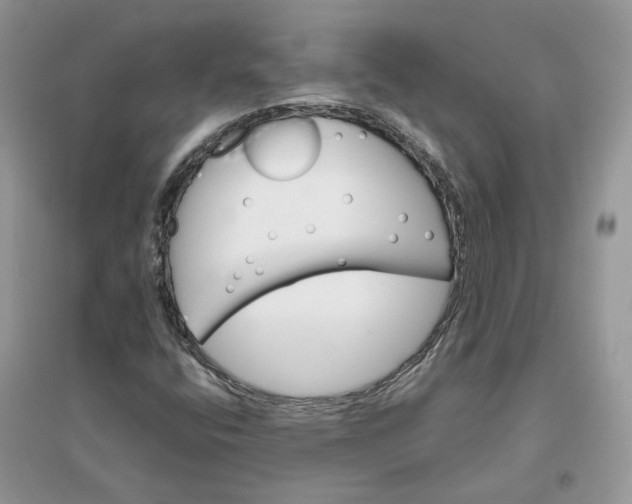 X0000096171400200802011308