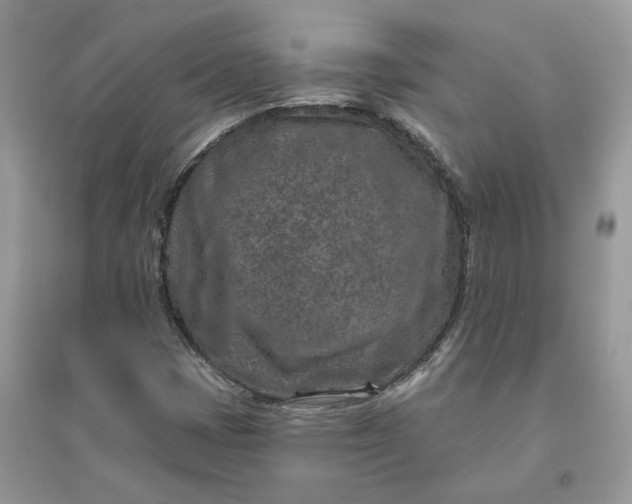 X0000096171401200802011308