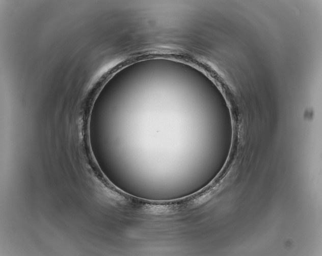 X0000096171402200802011308