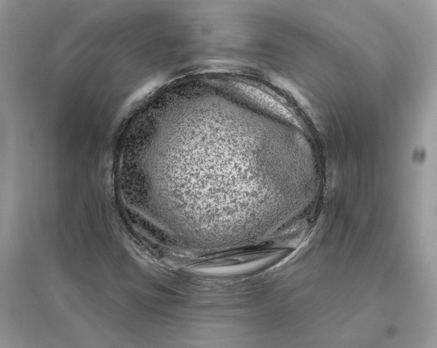 X0000096171403200802011308