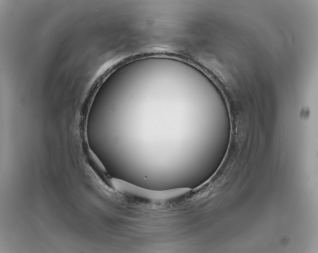 X0000096171404200802011308