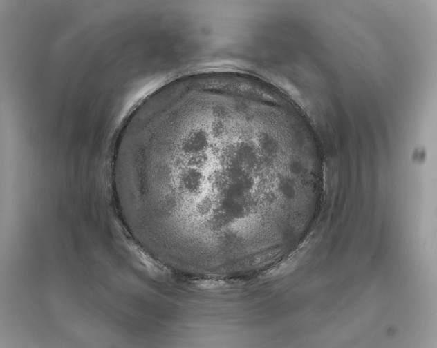 X0000096171405200802011308