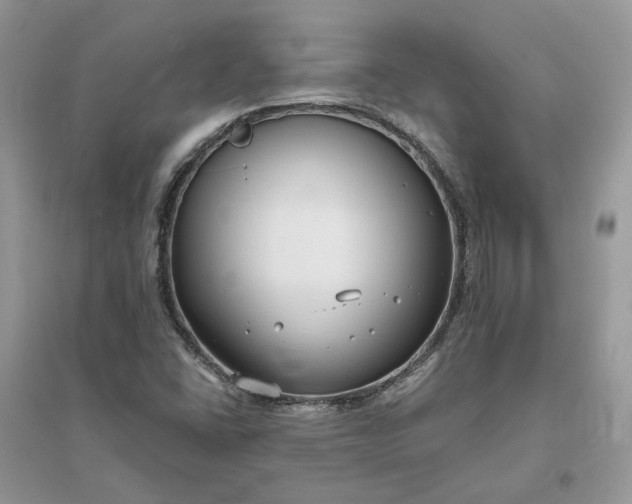 X0000096171406200802011308