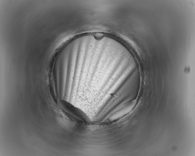 X0000096171407200802011308