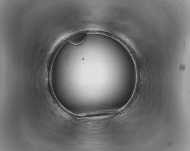 X0000096171408200802011308