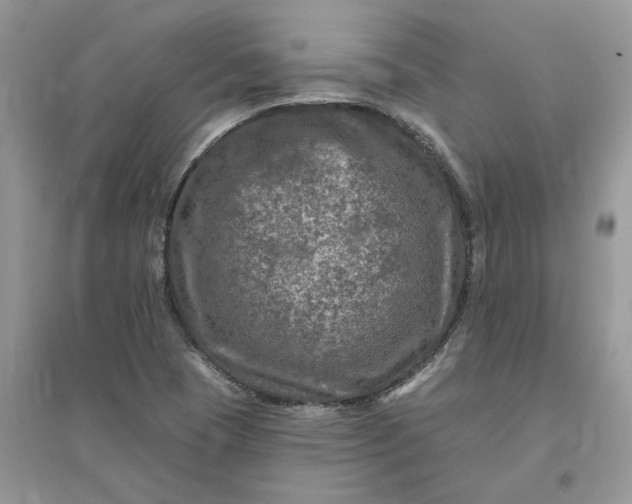 X0000096171409200802011308