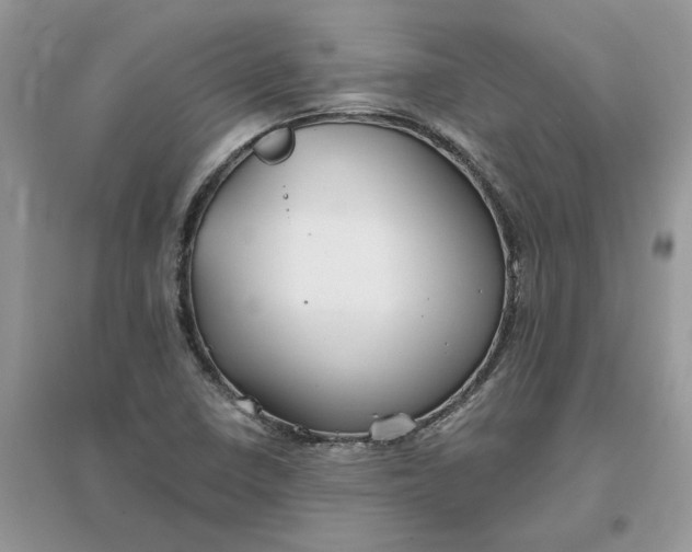 X0000096171410200802011308