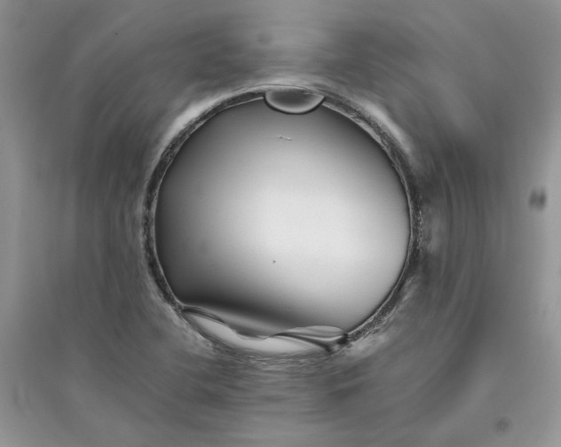 X0000096171412200802011308